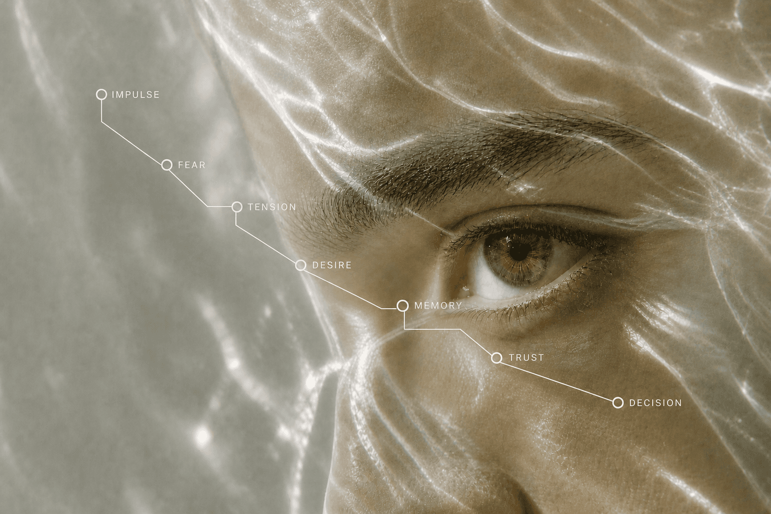 CA.RO. psychological map: impulse, fear, tension, desire, memory, trust and decision