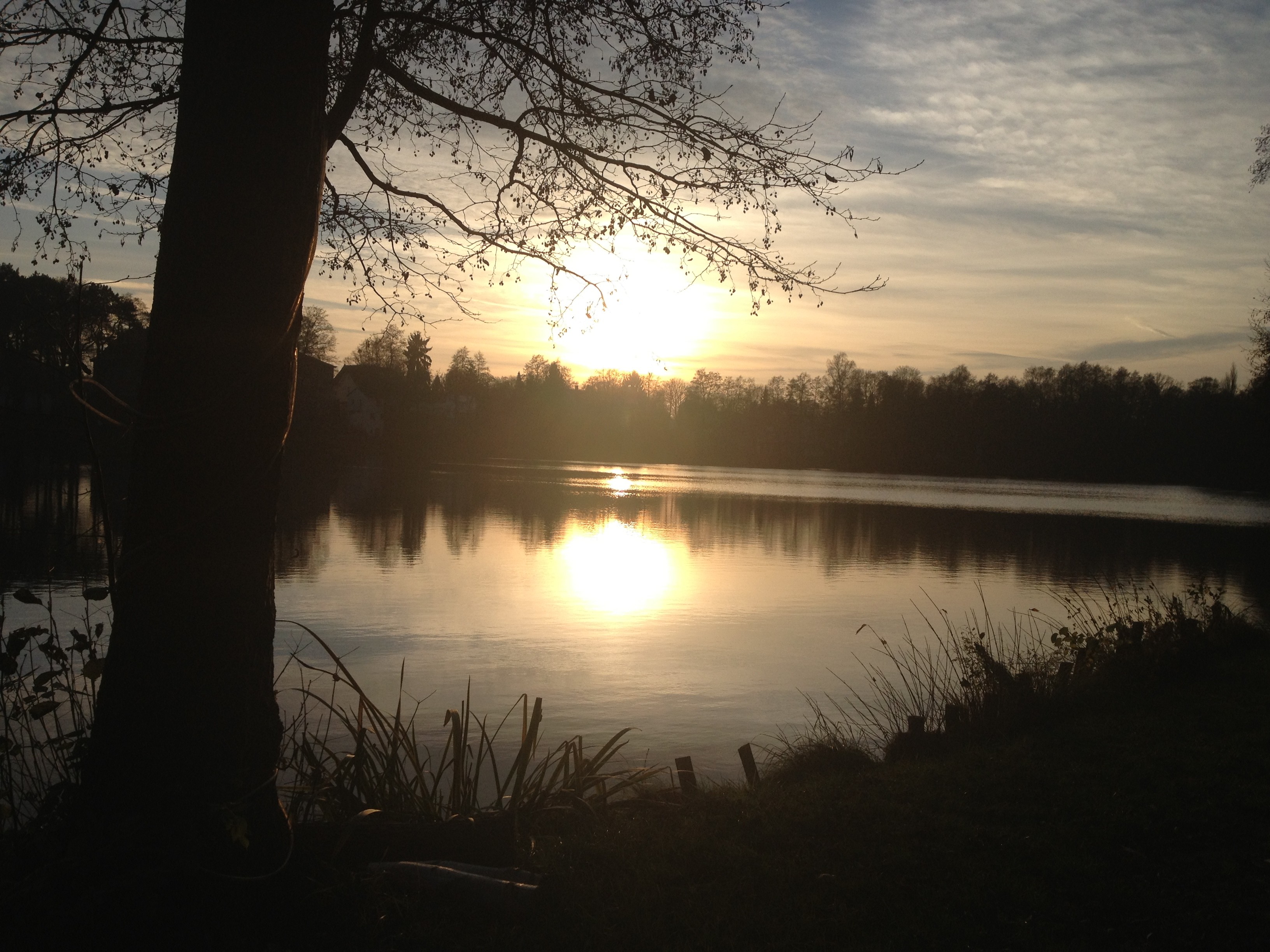Wappen Angelclub Buchholz e.V.