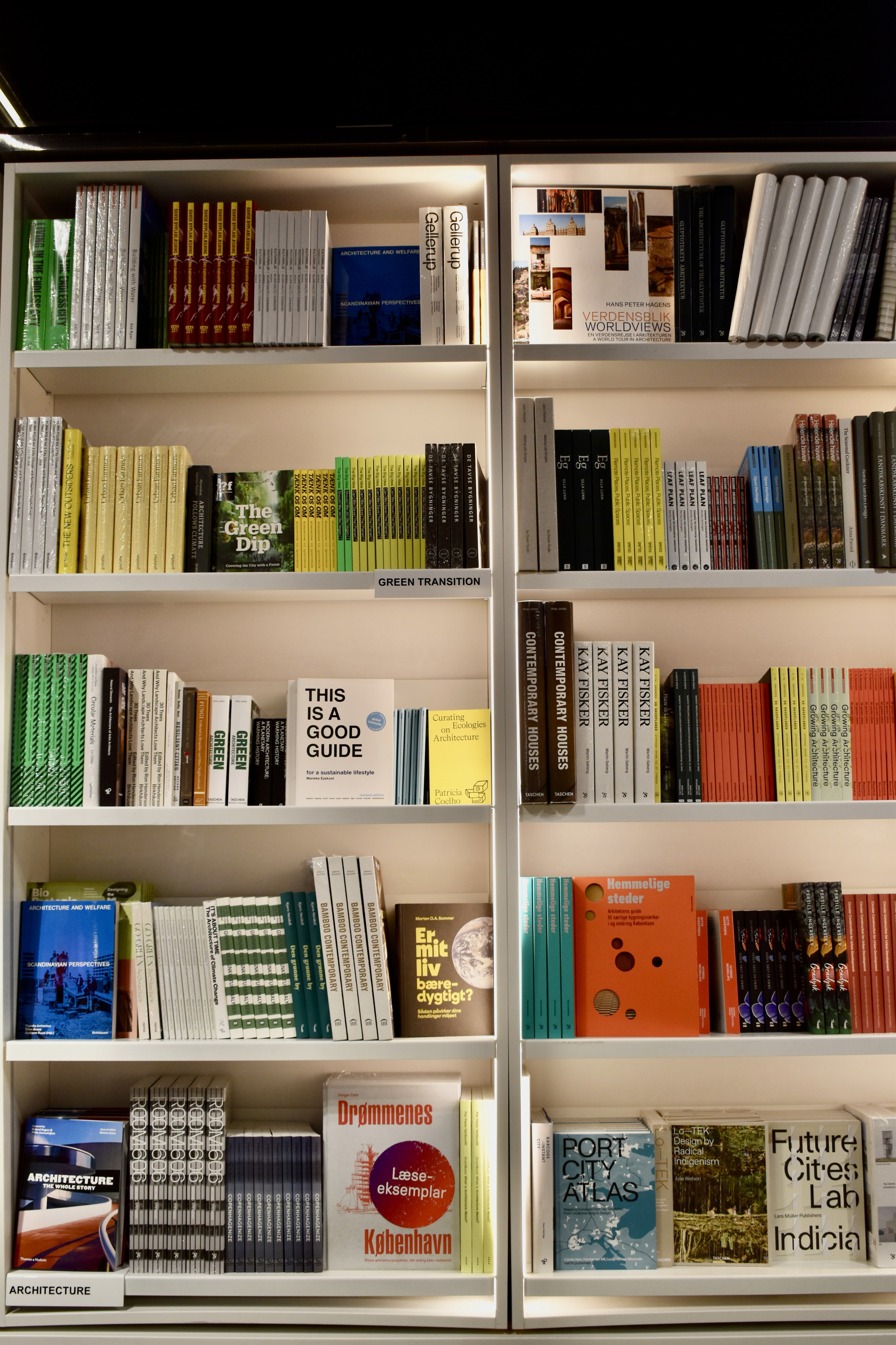 a hand holding a card