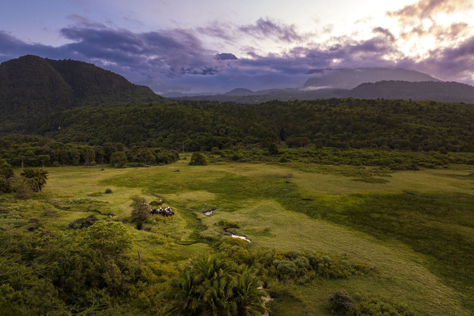 Kilimanjaro Elephant Ride, Arusha National Park, Tanzania – elefant i högt gräs tittar mot kameran, medan fem ryttare till häst på ridsafari i bakgrunden betraktar elefanten i ett grönt och frodigt landskap.
