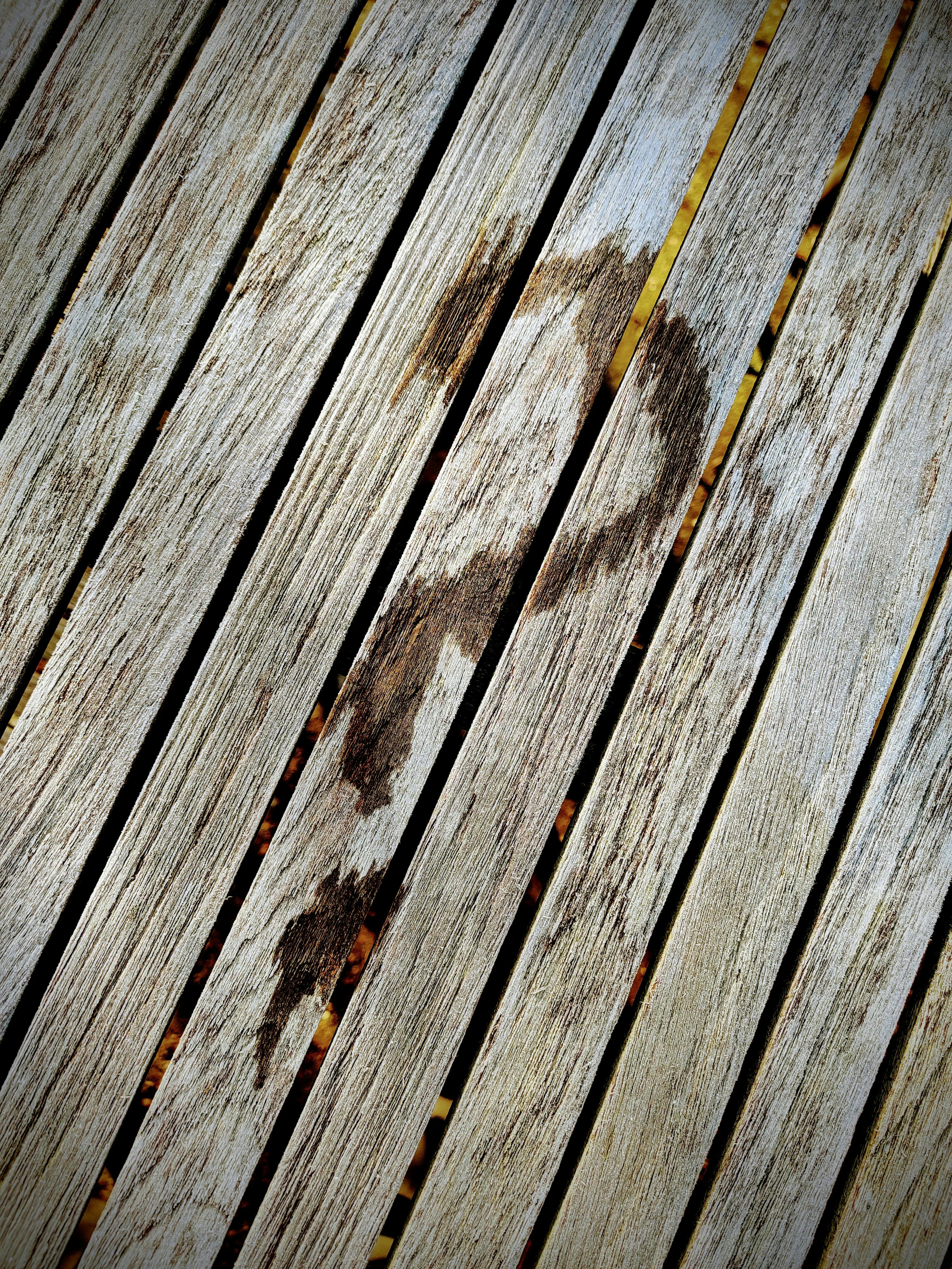 men and women working in the house