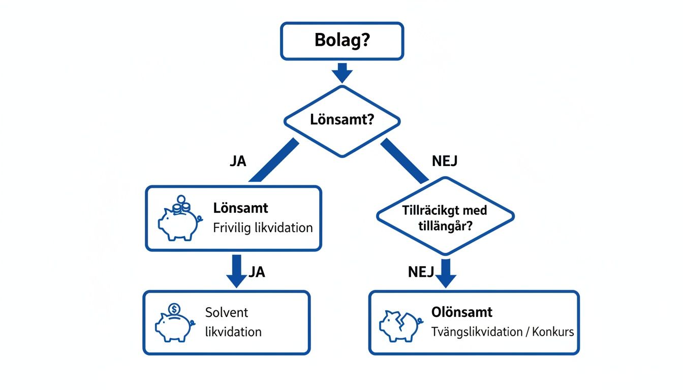 Flödesschema som beskriver processen för likvidation av ett företag beroende på lönsamhet och tillgångar.