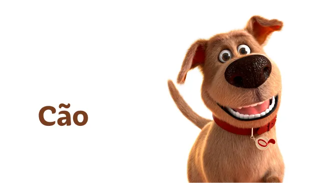 Cão