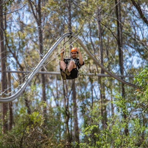 Sydney Ocidental: Bilhetes para Aventura nas Copas das Árvores em Abbotsbury