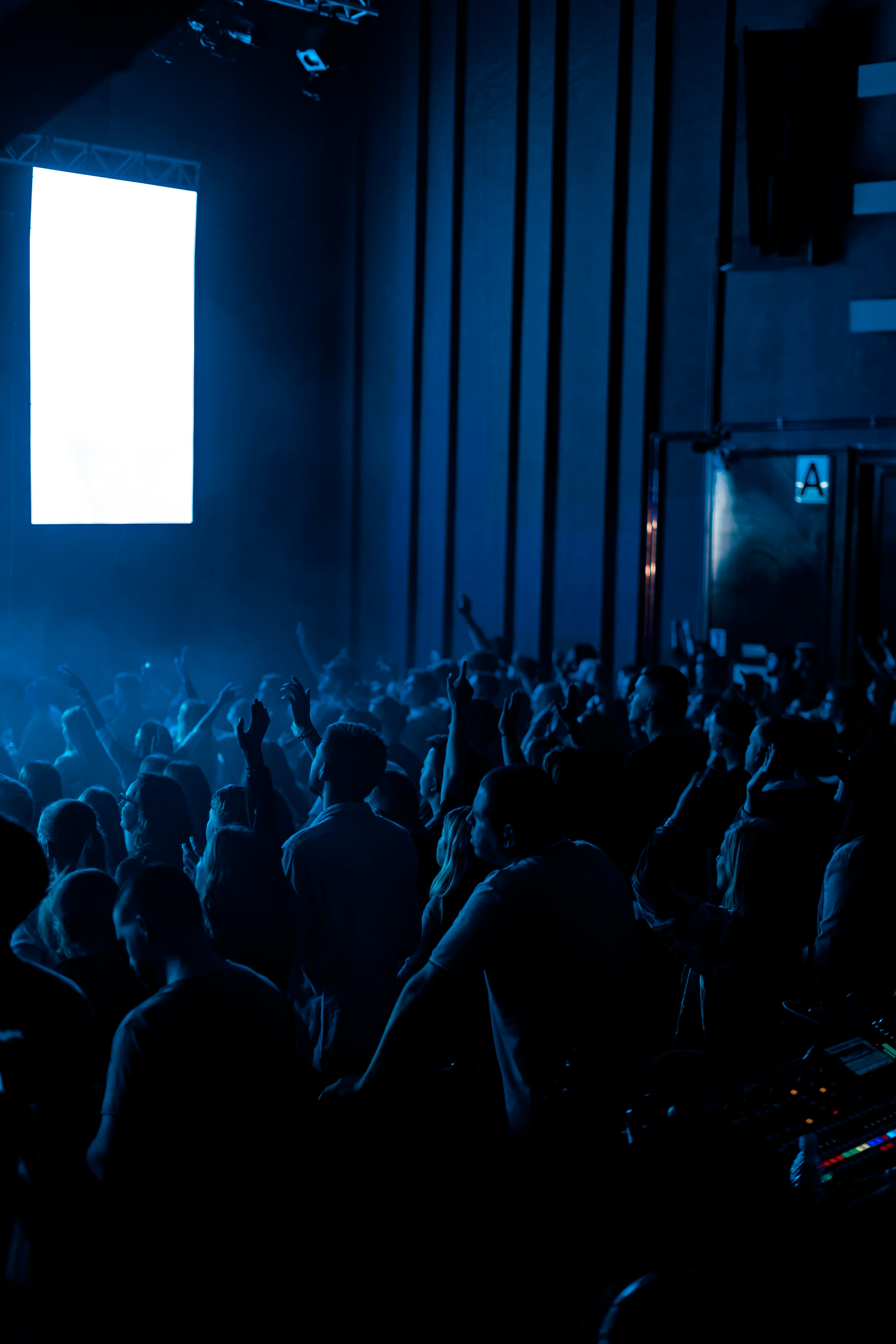 group of people watching concerty