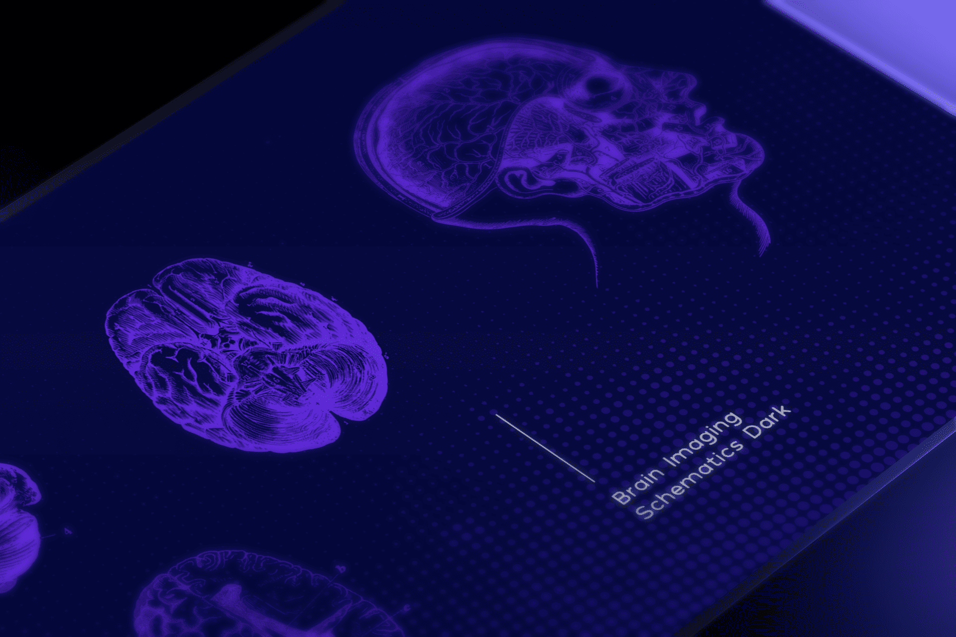 Neurolix AI brand guide brain imaging schematics page mockup showing angled tablet display with purple anatomical brain illustrations including inferior view and sagittal skull cross-section on dark navy background with "Brain Imaging Schematics Dark" label.