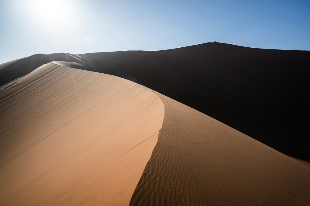 Sunlit sand dune in the Namib Desert, showcasing sweeping curves, textured ridges, and a clear blue sky in the background.