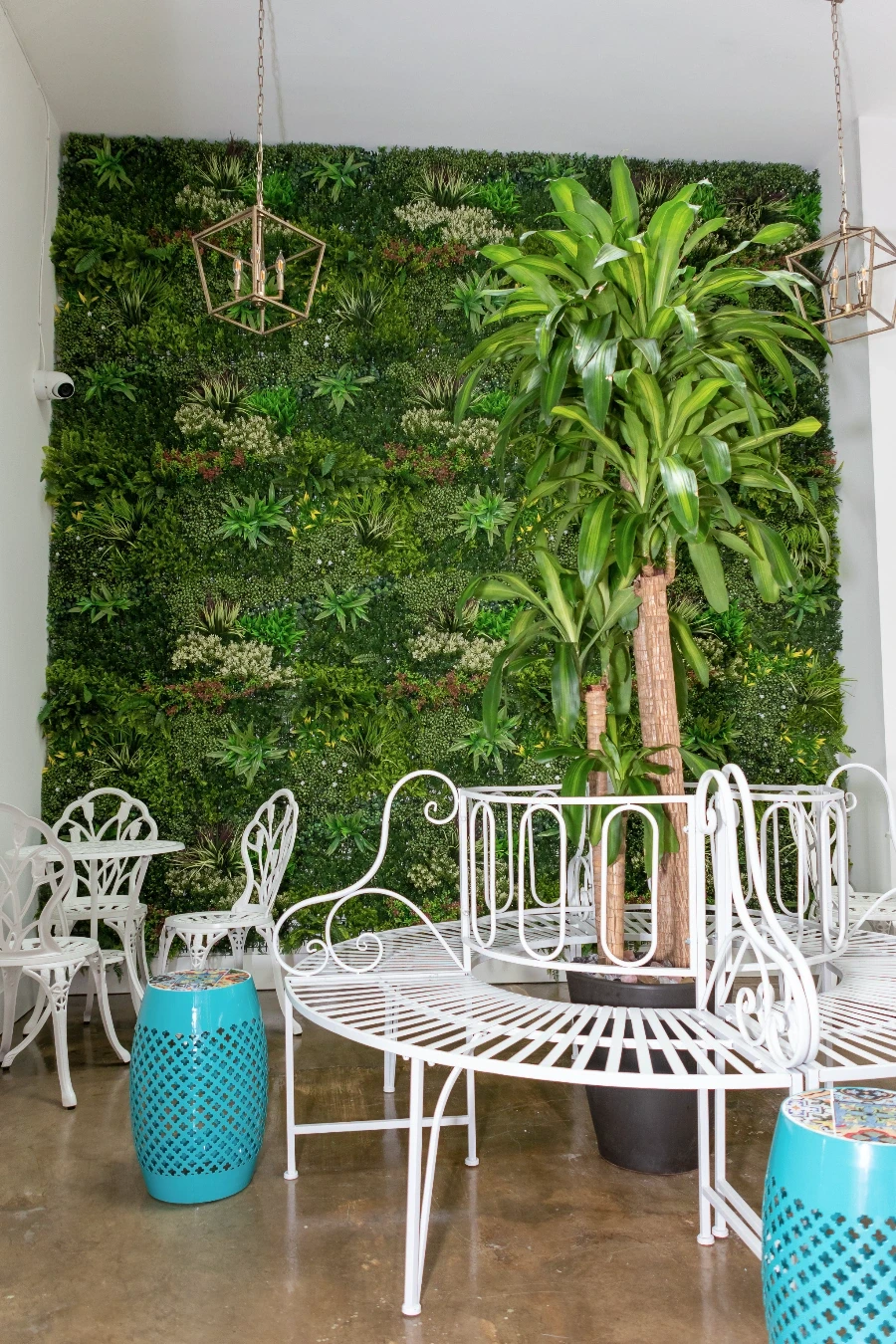 Cafe Renis indoor flower wall