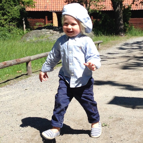 Skansen: Szabadtéri Múzeum és Északi Állatkert jegyek Stockholm