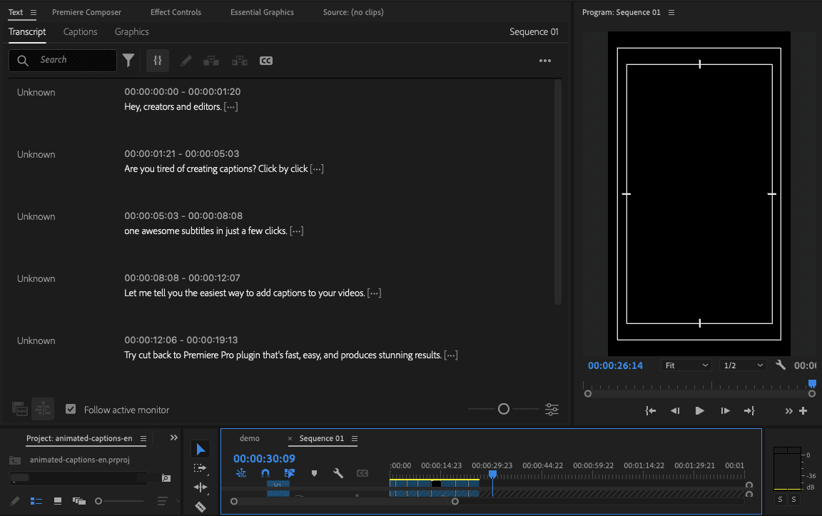 Premiere Pro subtitle edit screen