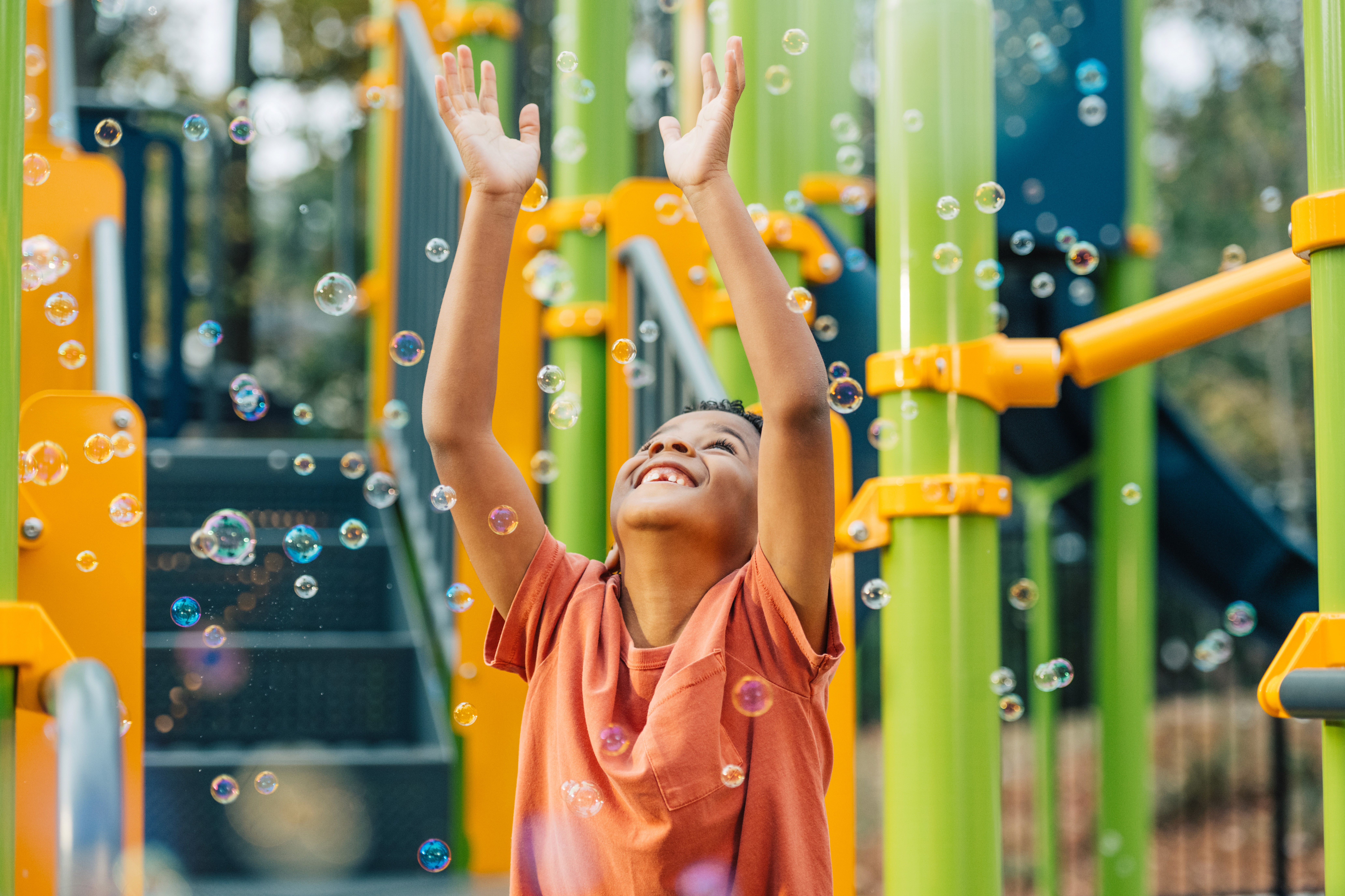 Dom Pérignon vineyards from the sky