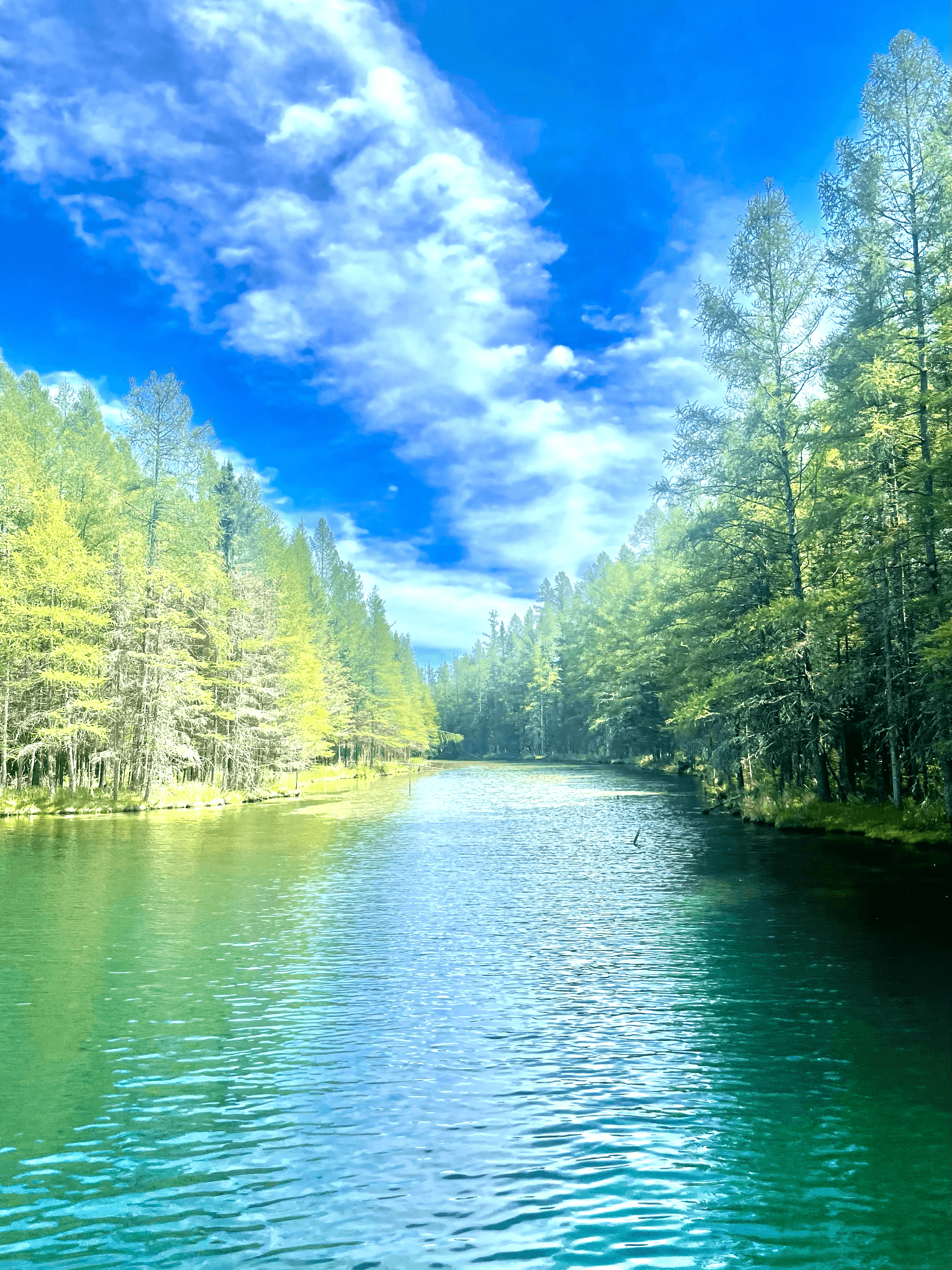 Michael Carter in a dark background