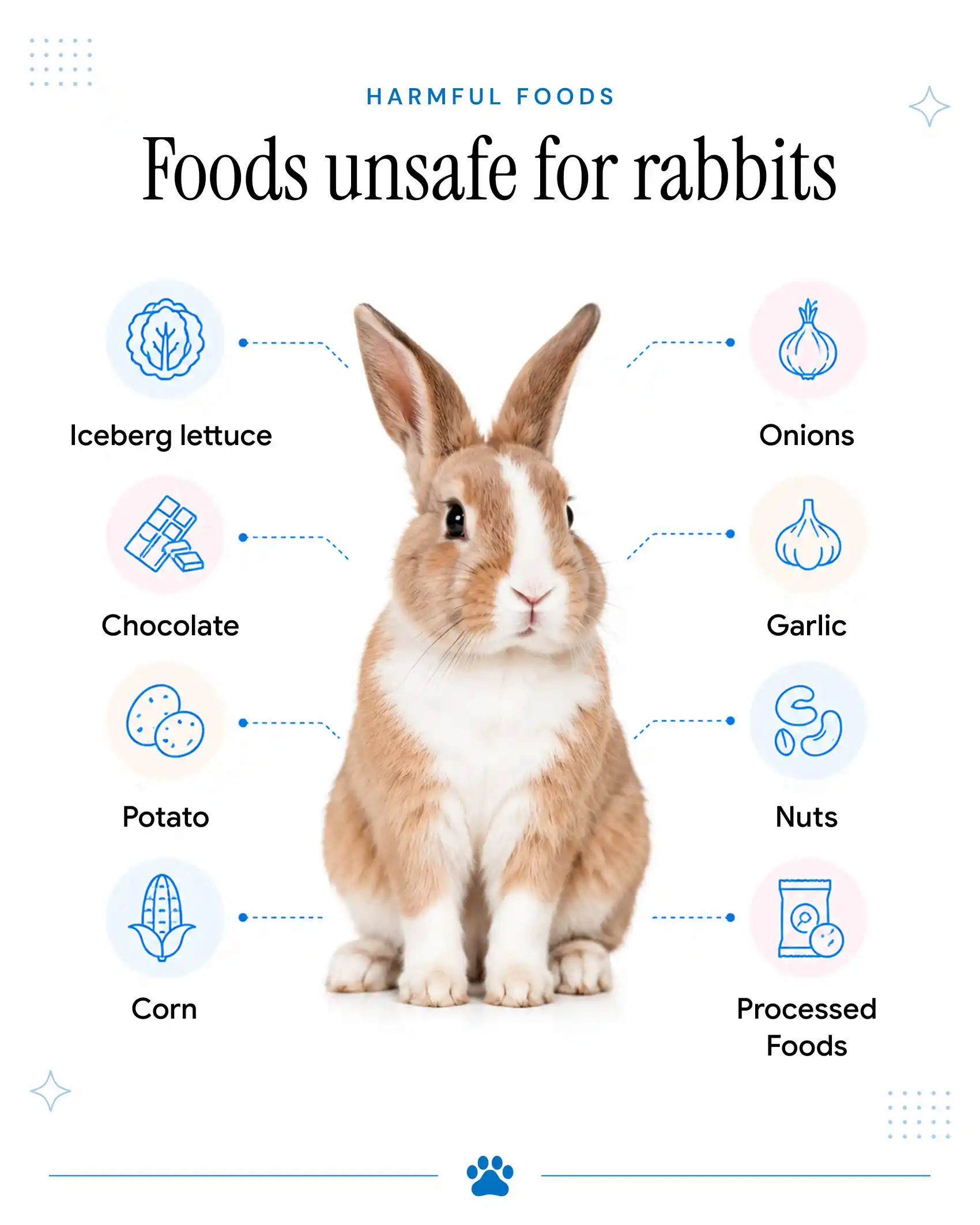 An infographic showing the foods that are bad for rabbits.