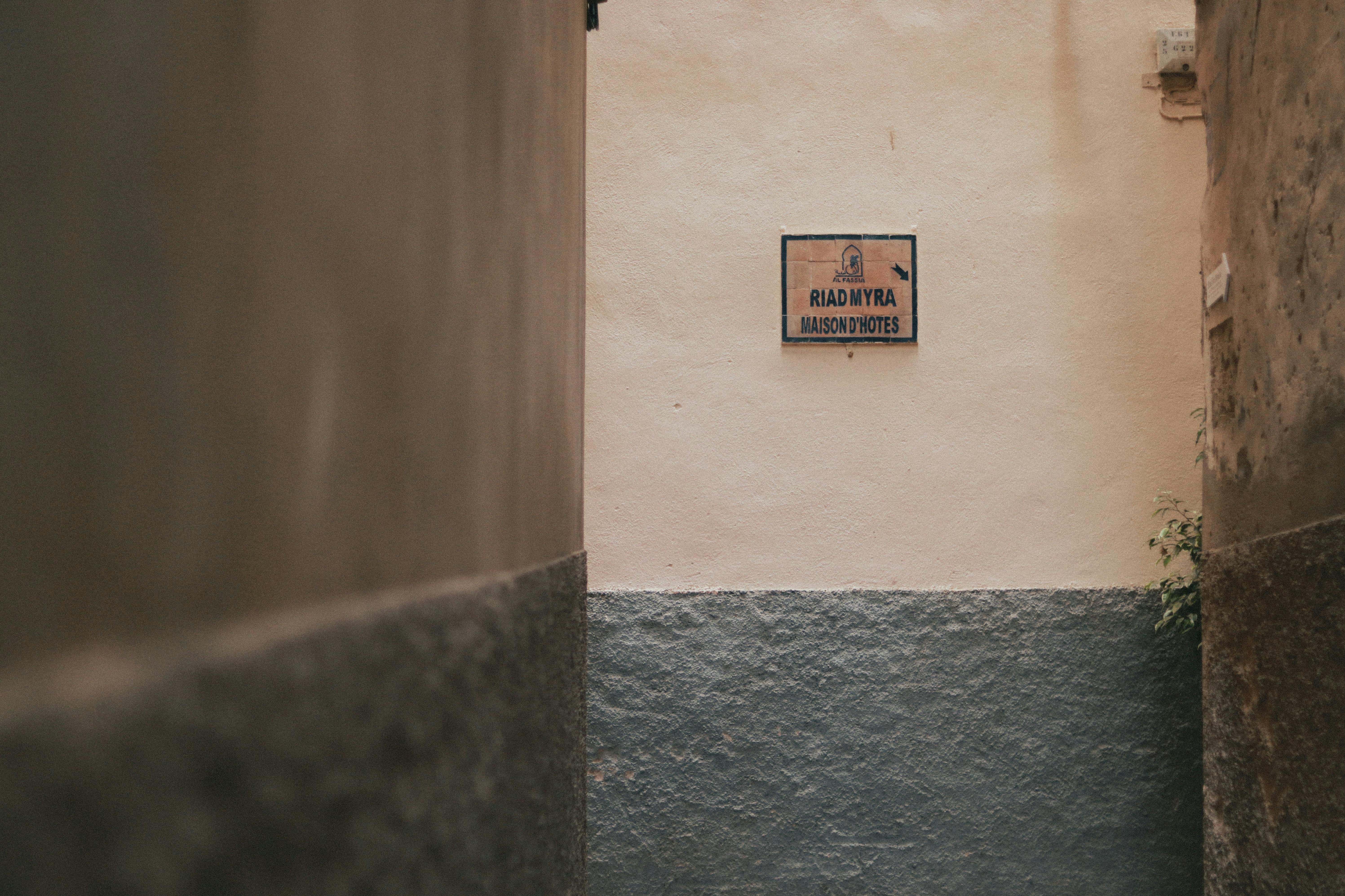 Oakwood - Pippins by Webster