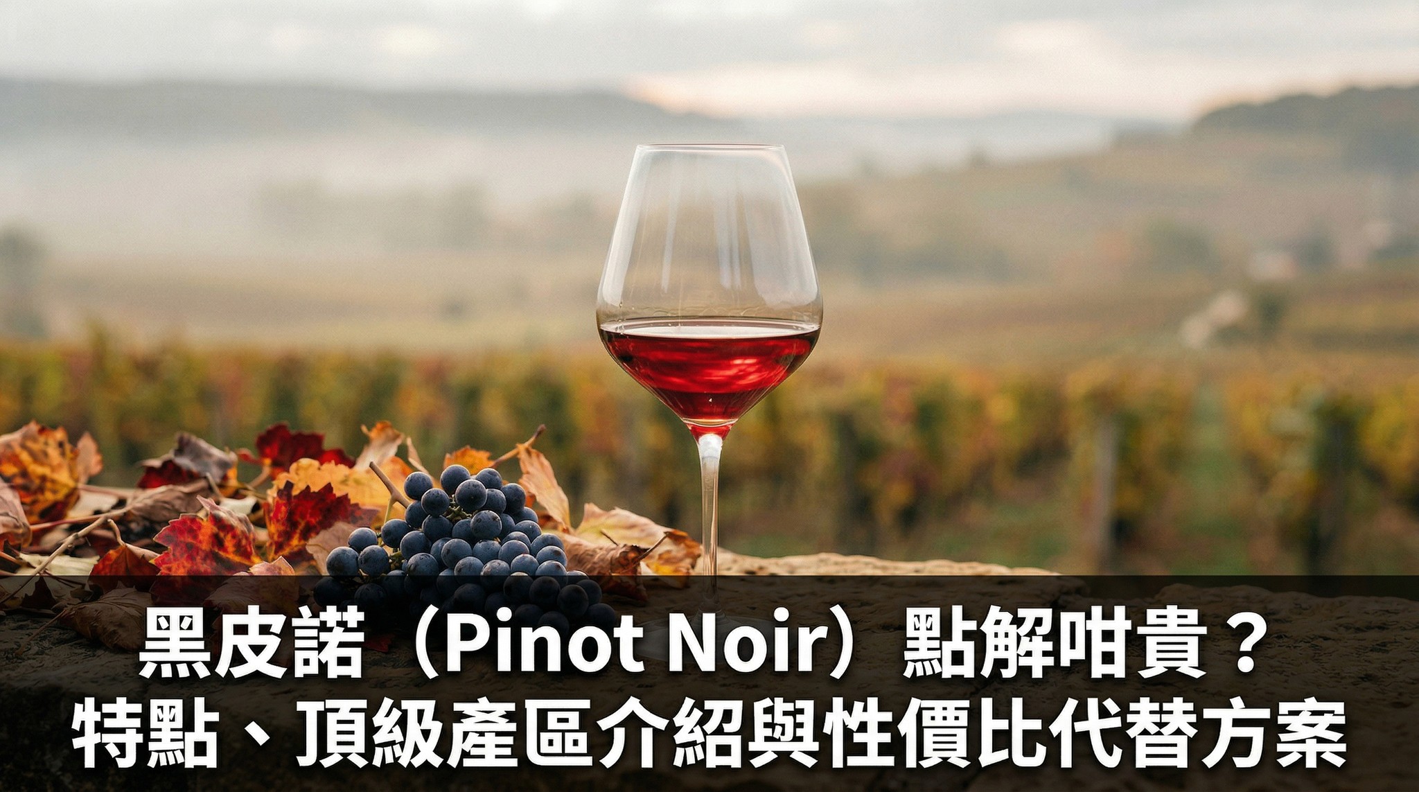 黑皮諾（Pinot Noir）點解咁貴？特點、頂級產區介紹與性價比代替方案