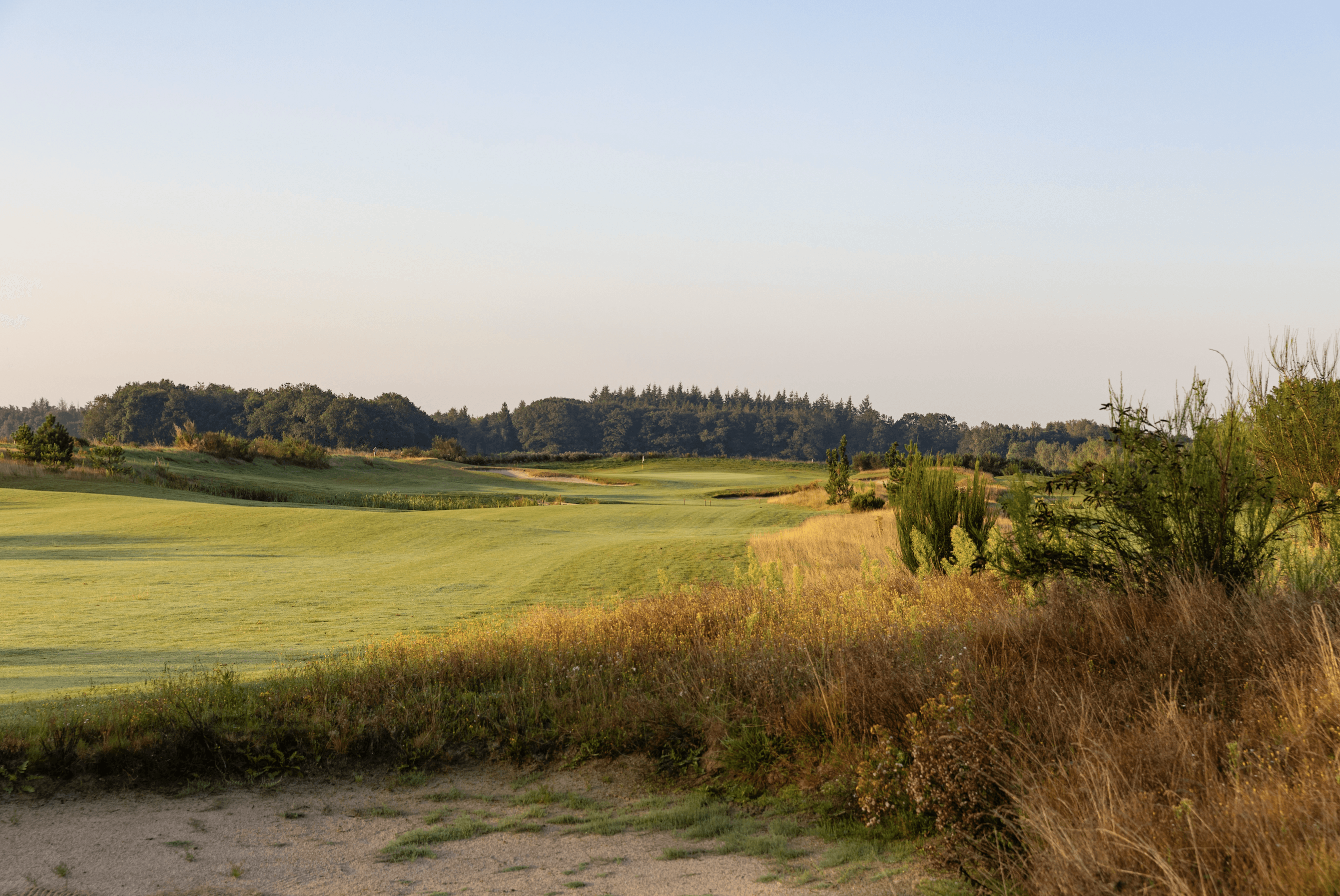 People in the office