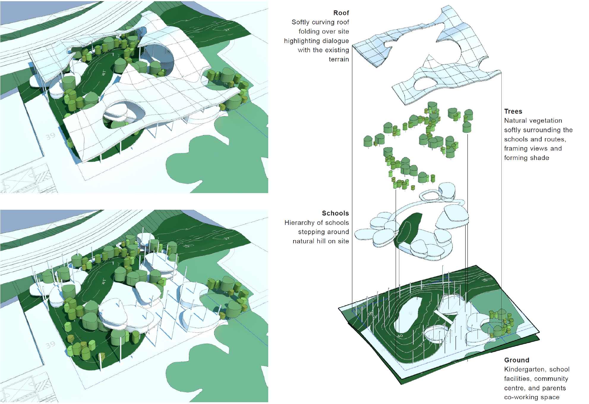 Project Gallery Image for 50% width of the screen #2