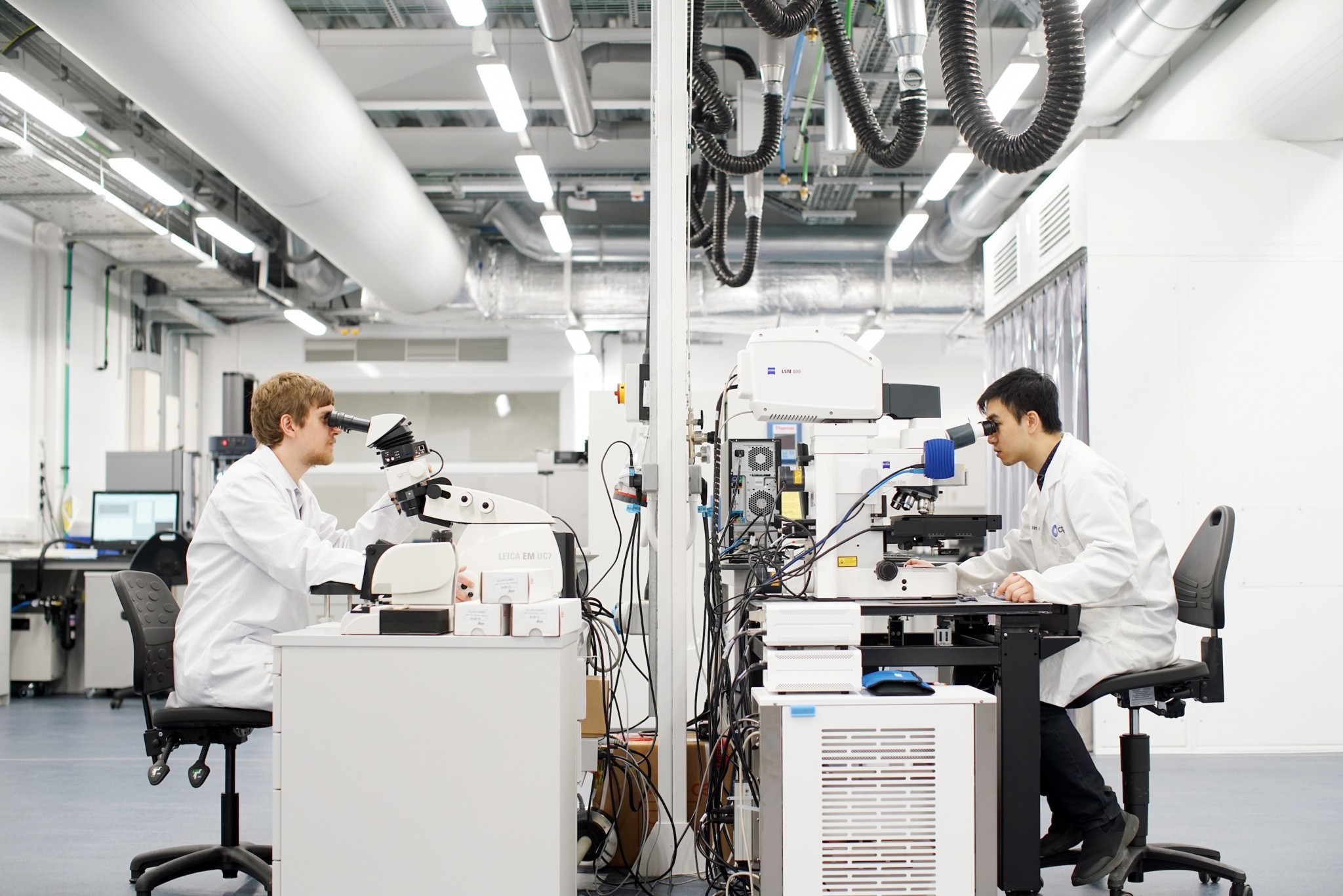 Two scientists in white lab coats sitting back to back at microscopes in a large bright laboratory