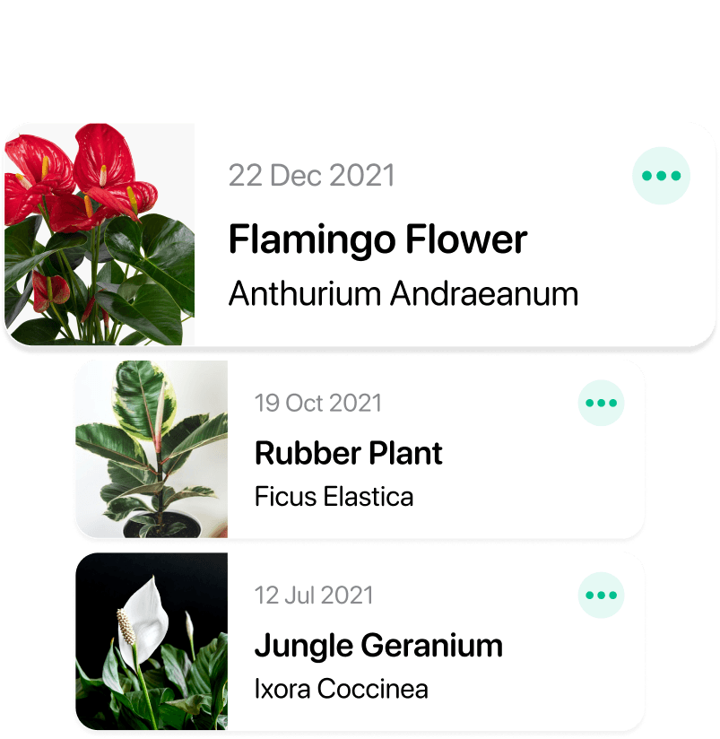 Plant tracking