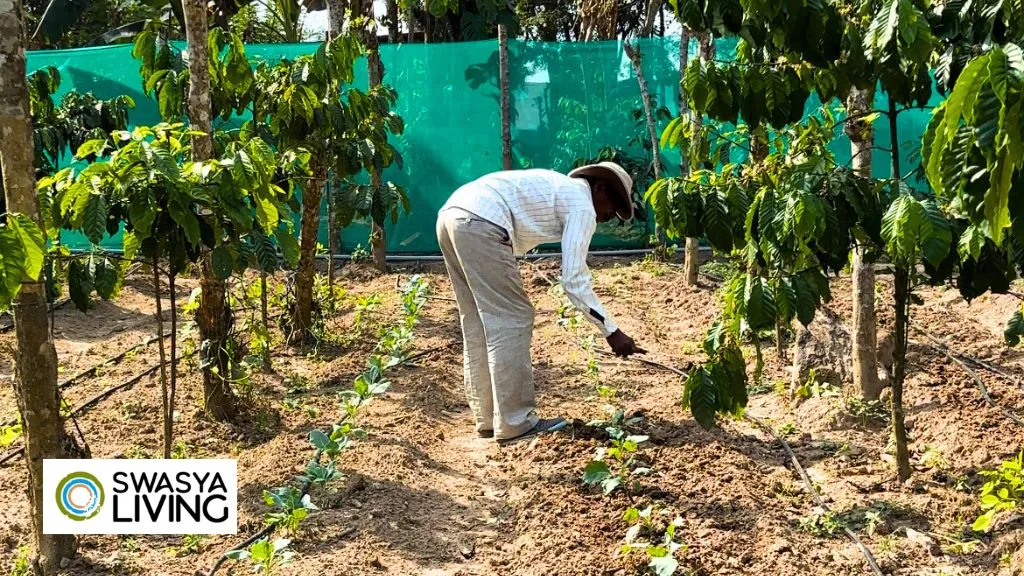 Investing in Agricultural Land