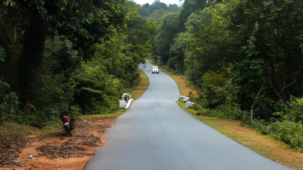 Dandeli Forest Route