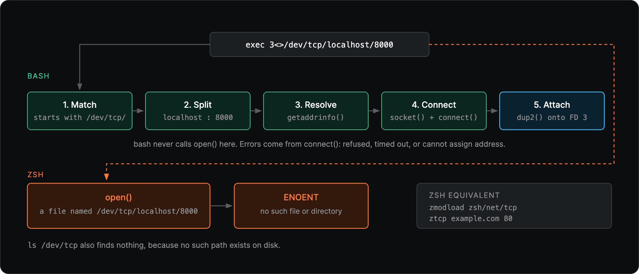 Diagram comparing how bash and zsh handle the same /dev/tcp redirect: bash matches the path, resolves with getaddrinfo, connects a socket and attaches it to FD 3, while zsh calls open() and fails with ENOENT