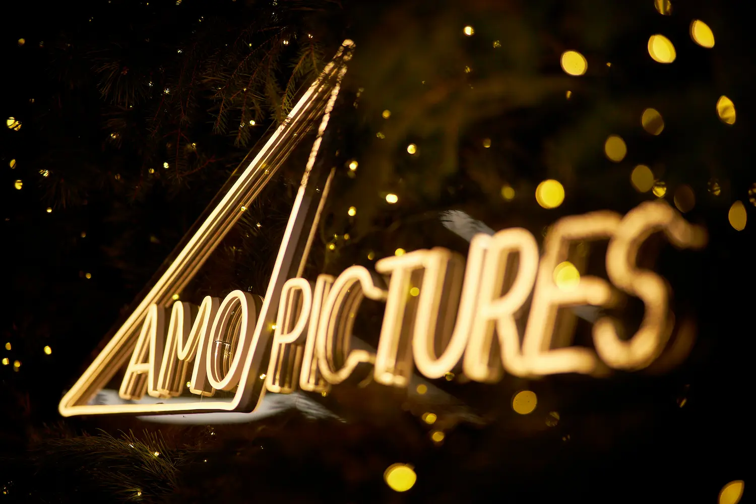 Amo Pictures logo photo
