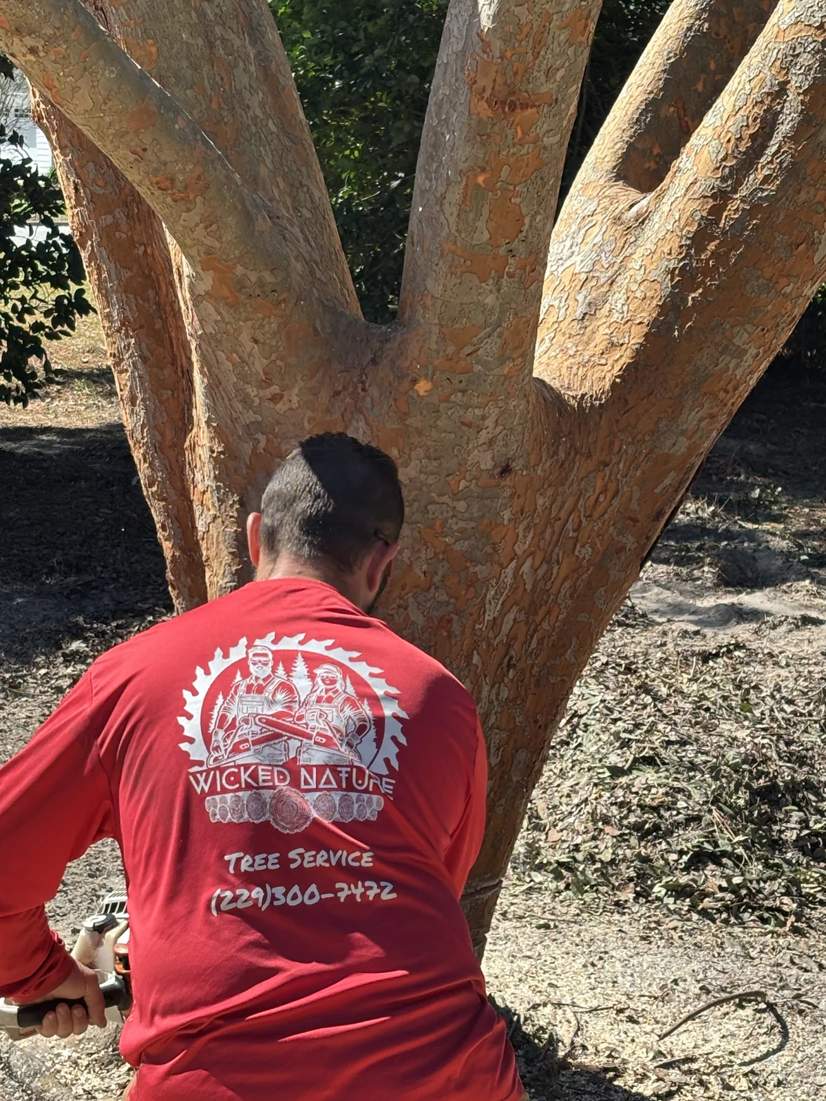 School Donation Check