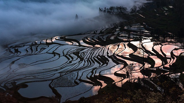 Terrace Paths