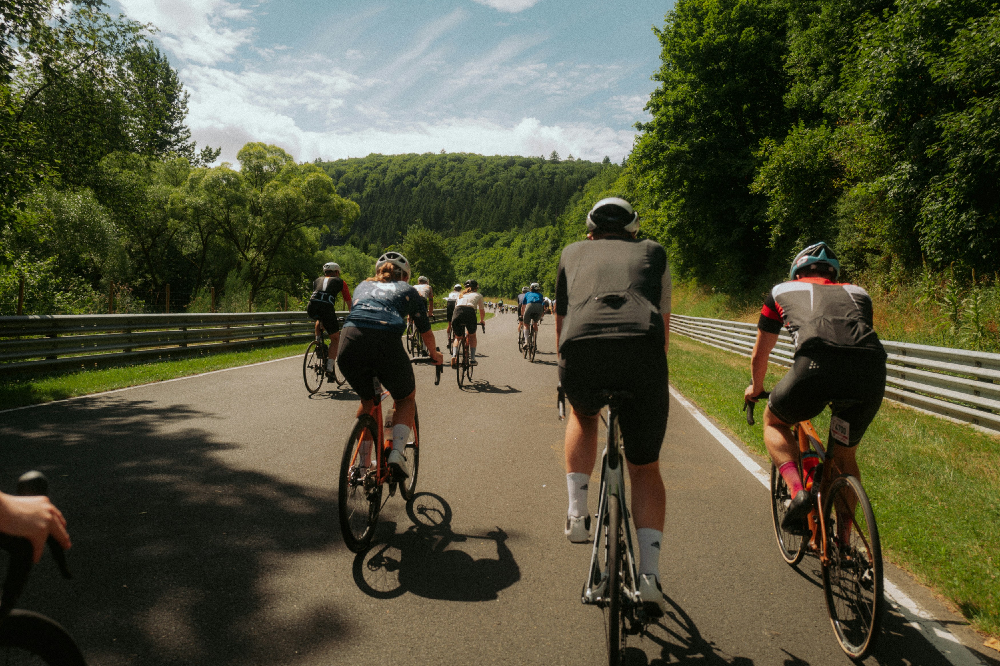 Cyclists riding on a paved road through trees
