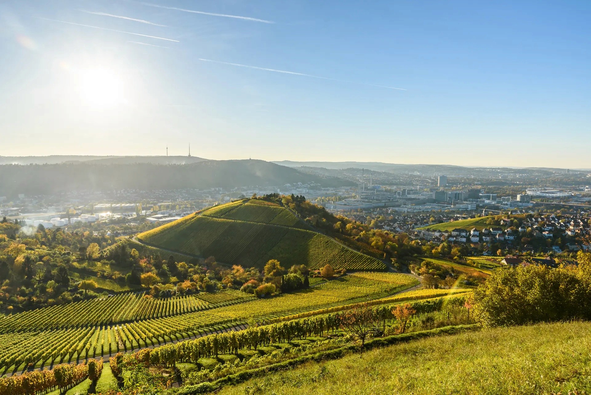 Schönes Bild im Kaiserstuhl