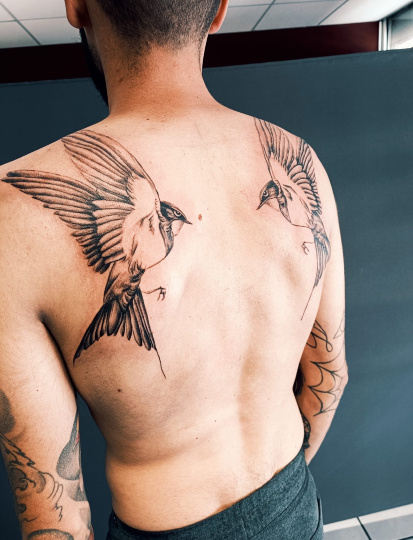 tatouage de deux oiseaux sur le dos d'un homme