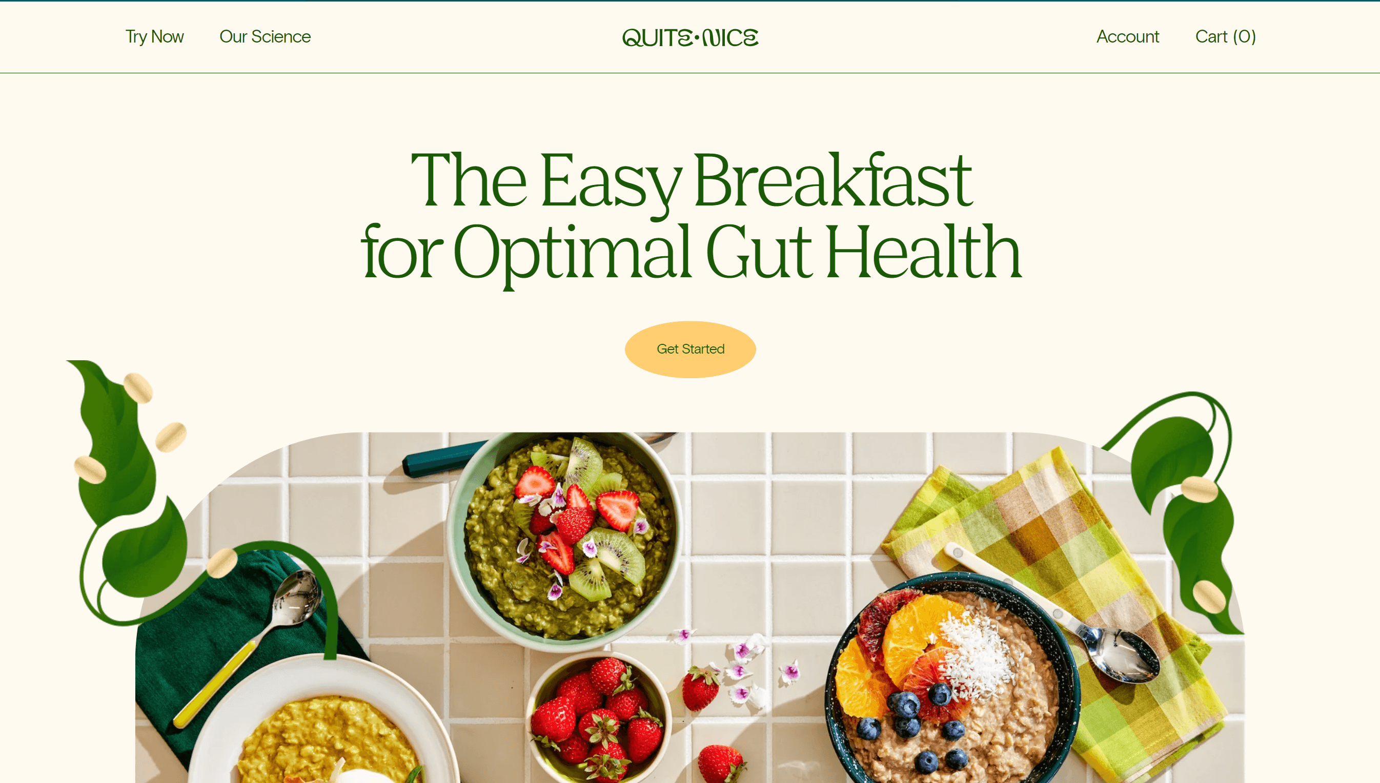 Logo Design Project for a Client