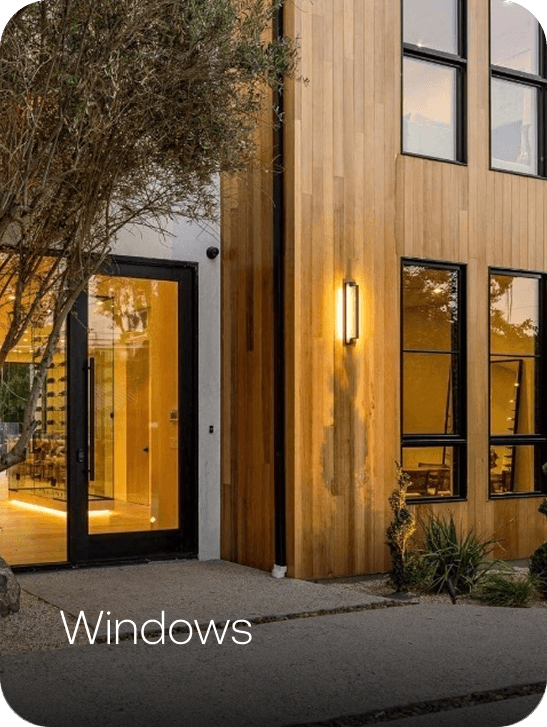 Close-up of a tree stump showing growth rings and a textured brown wood surface.