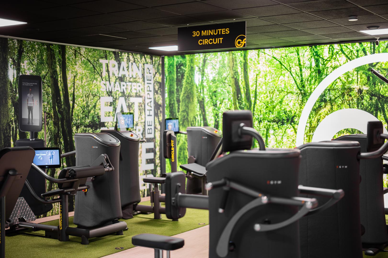 A modern gym with cardio machines.