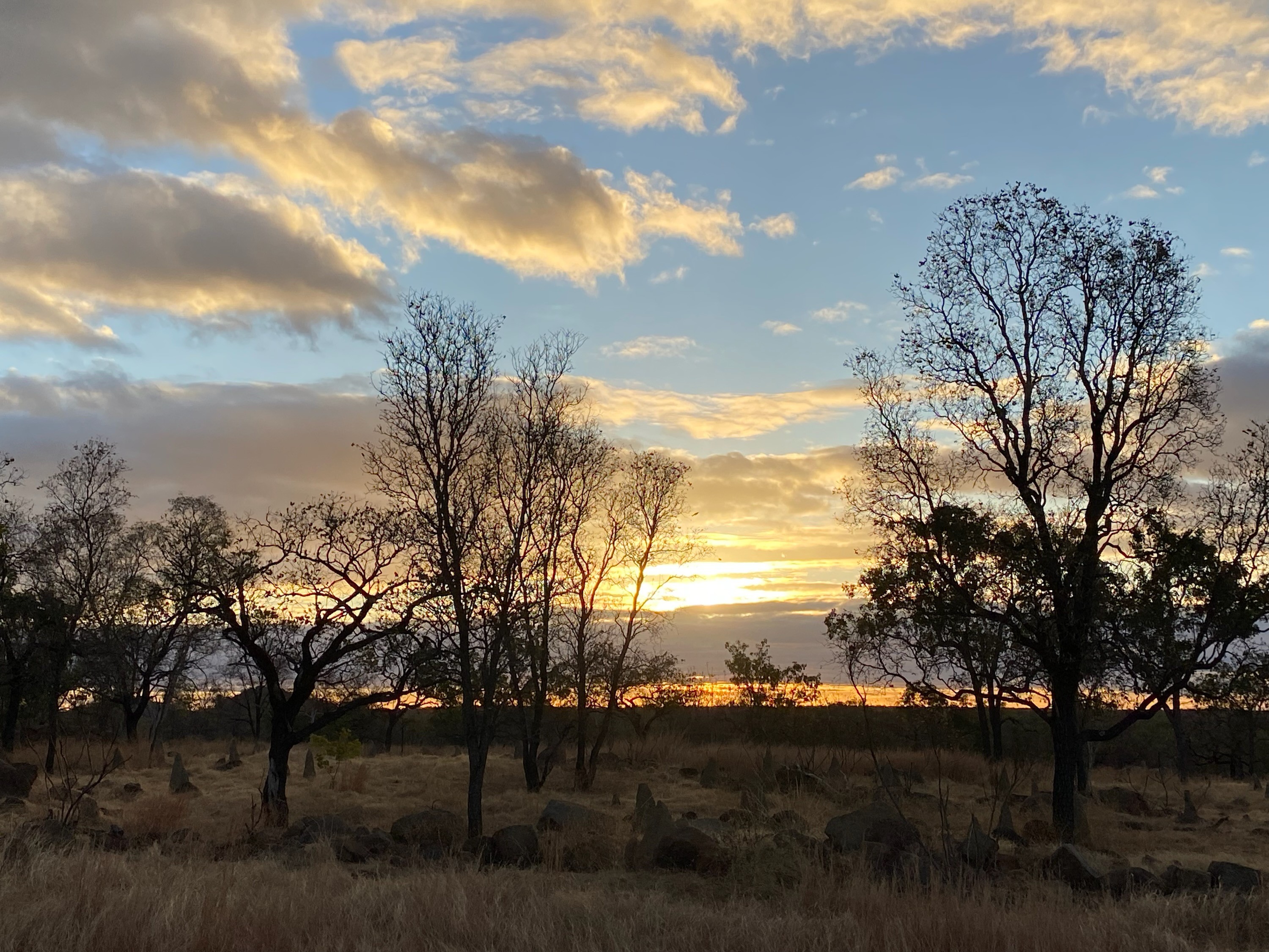 Sunset over a rural Australian paddock, representing the agribusiness and farming environment served by Green Shoots Finance