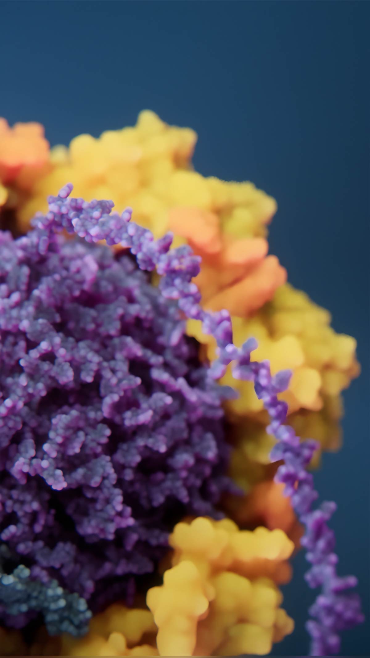 Single stranded DNA molecule inside the AAV viral particle