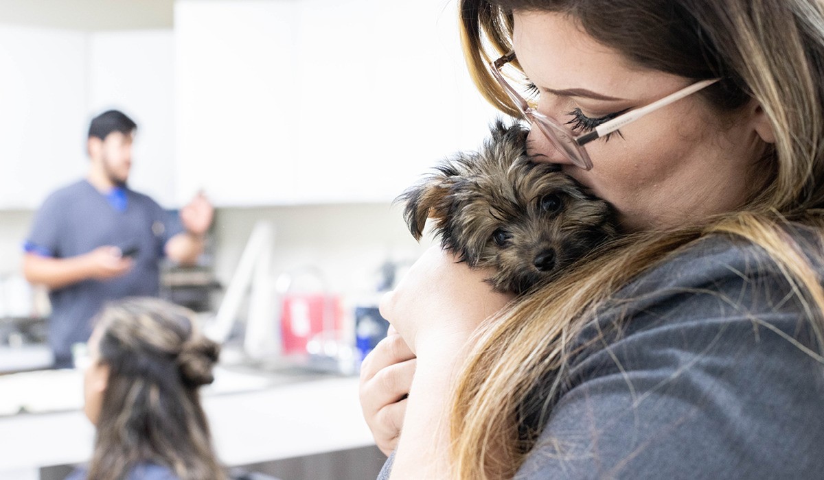 A Veterinary Technician cuddling with a small dog patient