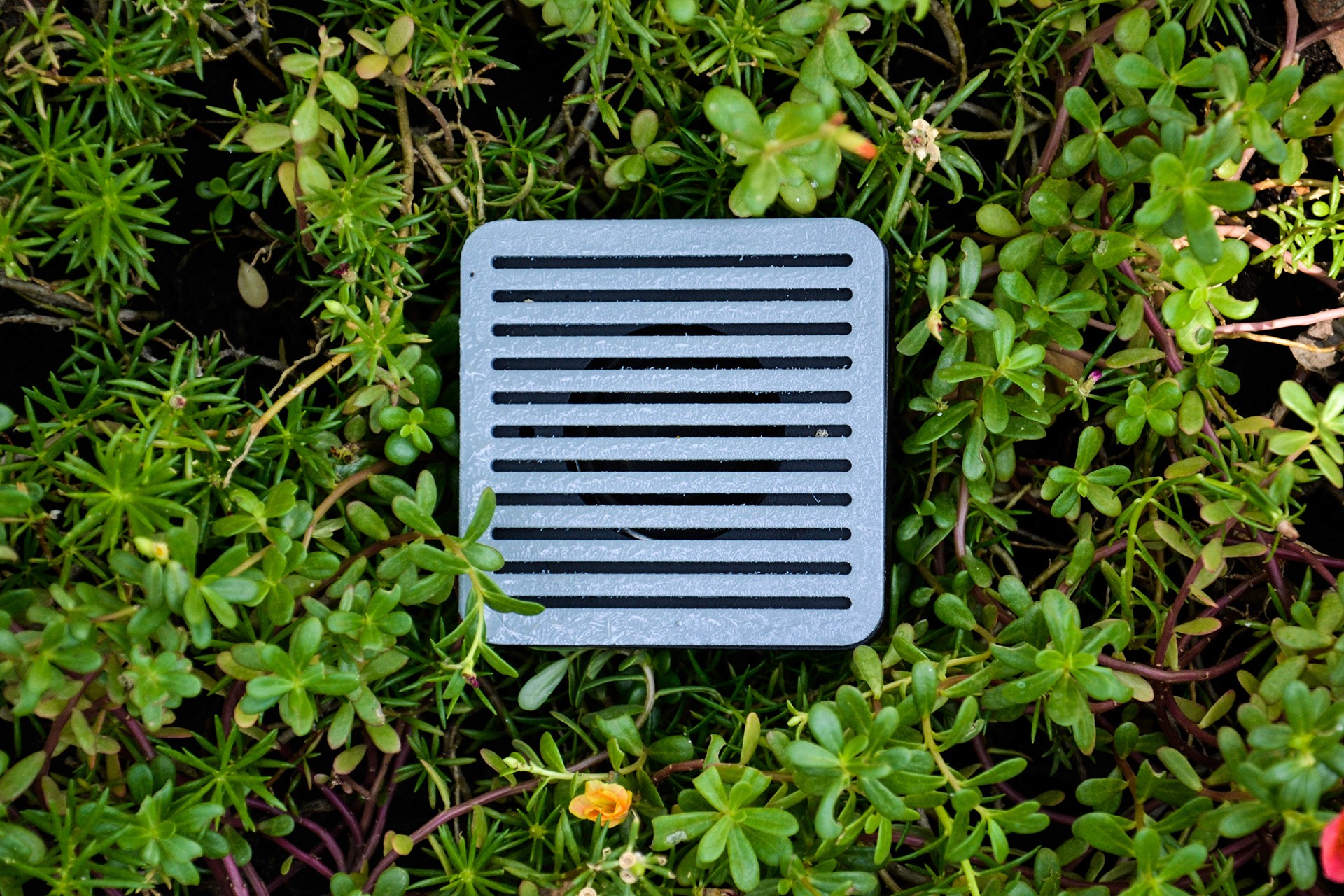 You can't work for Twitter, Elon Musk is different