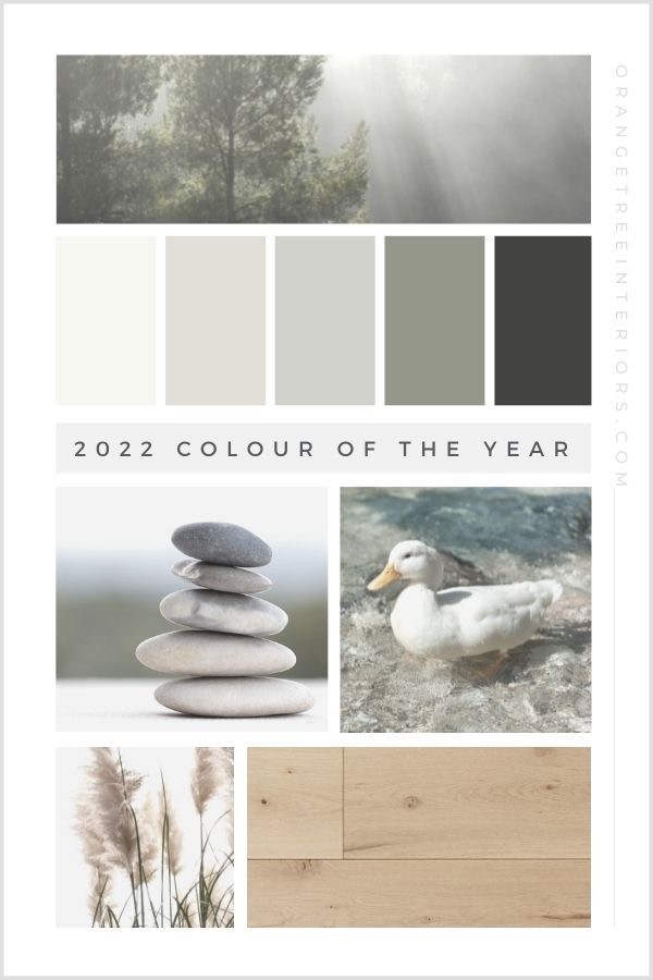 2022 paint colour of the year sherwin williams