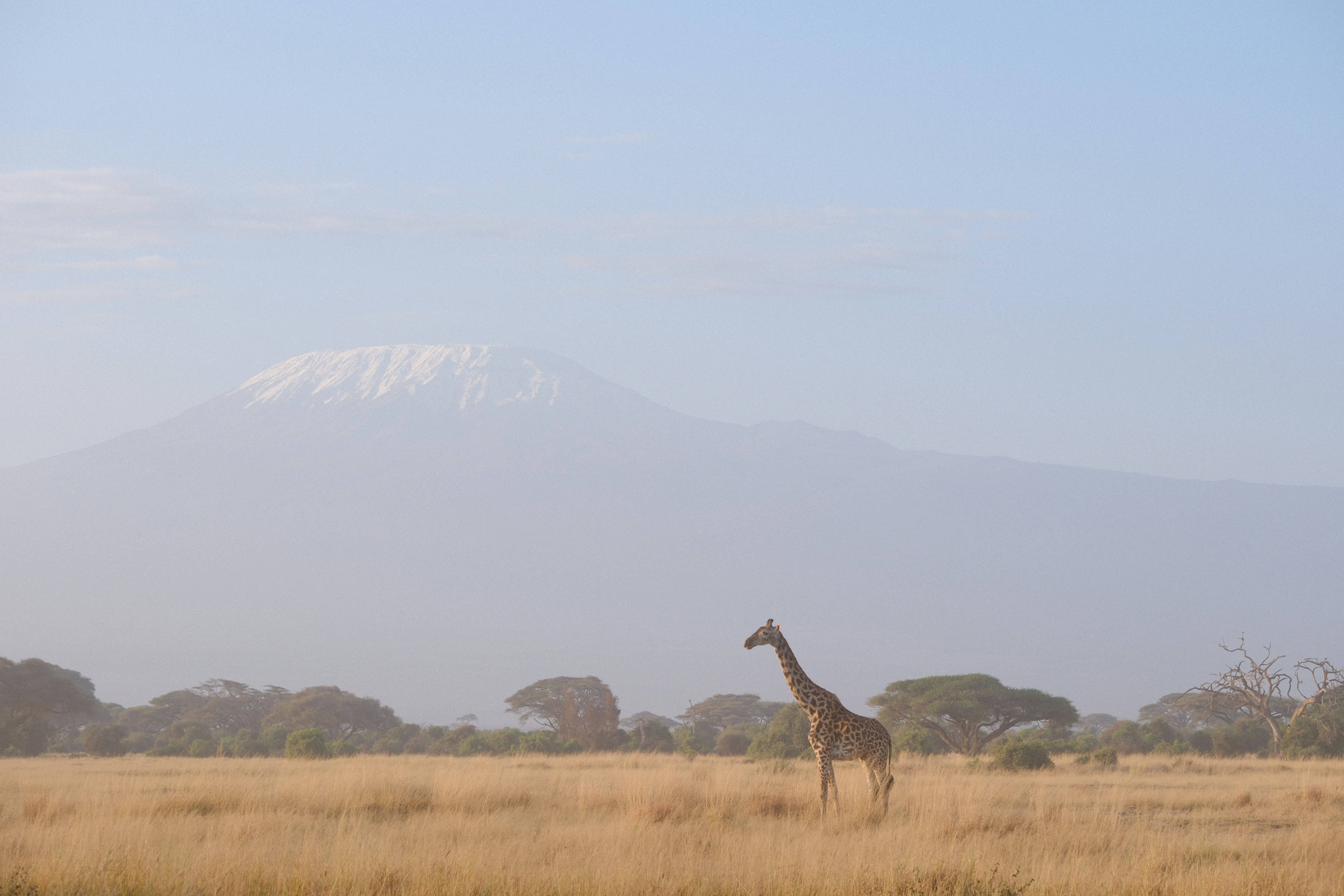 Tanzania Safari Tours