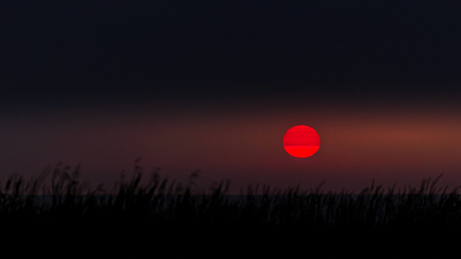 Lone moment at sunset, distance and quiet. Cover image for Hybrid Teams Fail by Design. Photo by Mats Soomre. #MomentsBySoomre