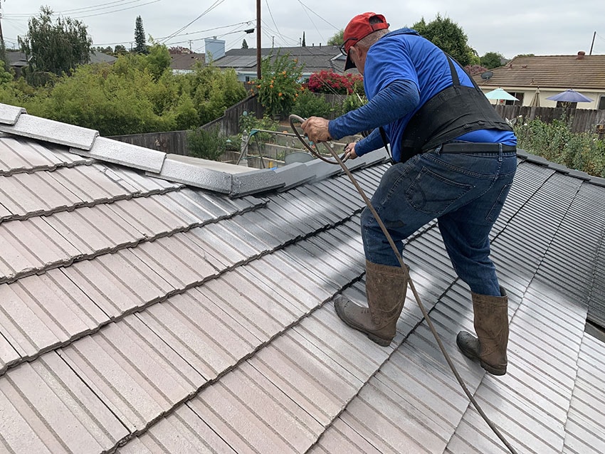 Painting Roof Shingles