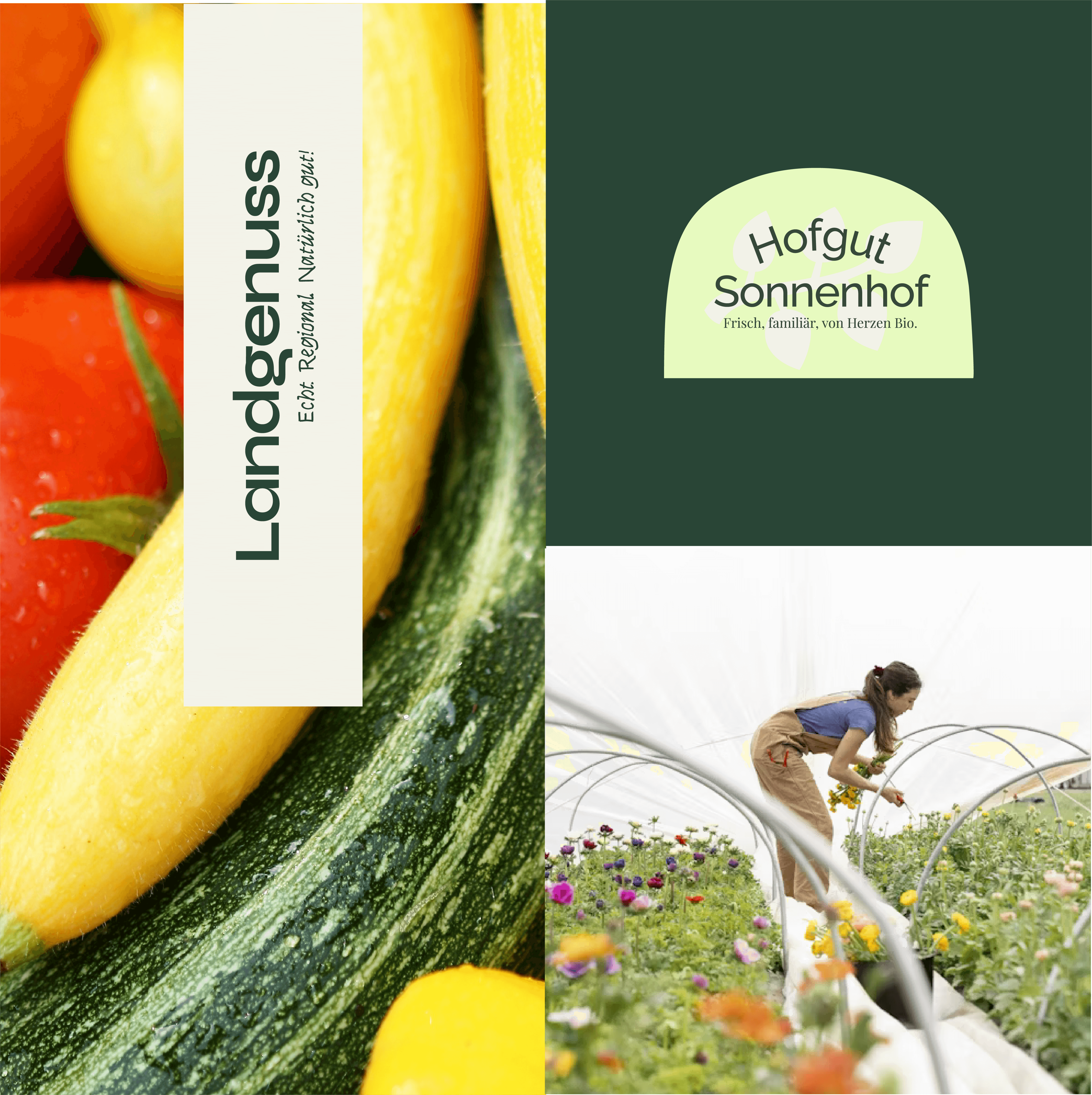 Webdesign eines Ferienhauses in Warendorf Ansicht der Umgebungseite