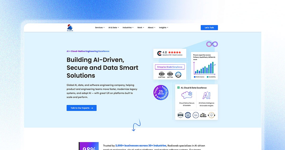 Radixweb: Enterprise Product Development, AI & Data