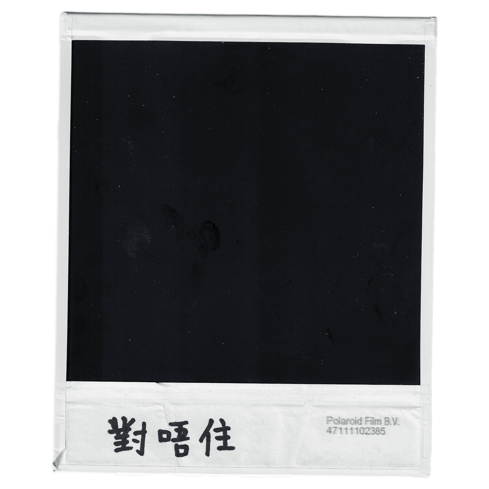 "i'm sorry" written in the back of the family photo  