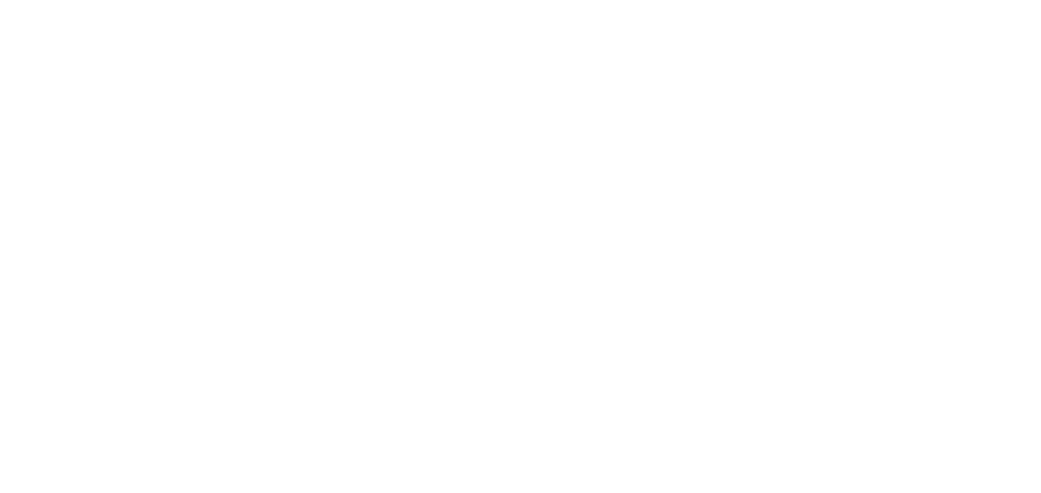 Logoipsum company logo