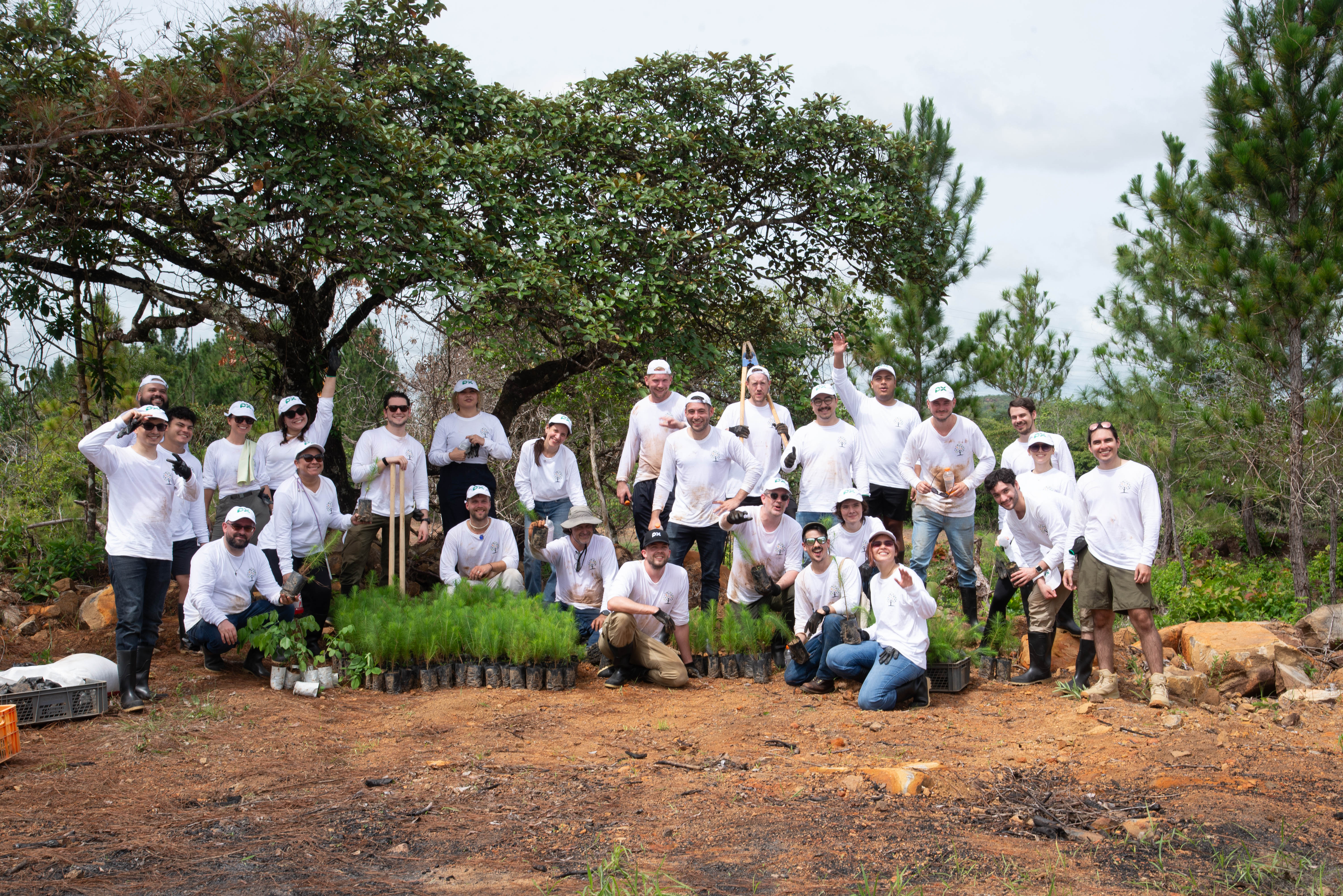 PlusTrees Team