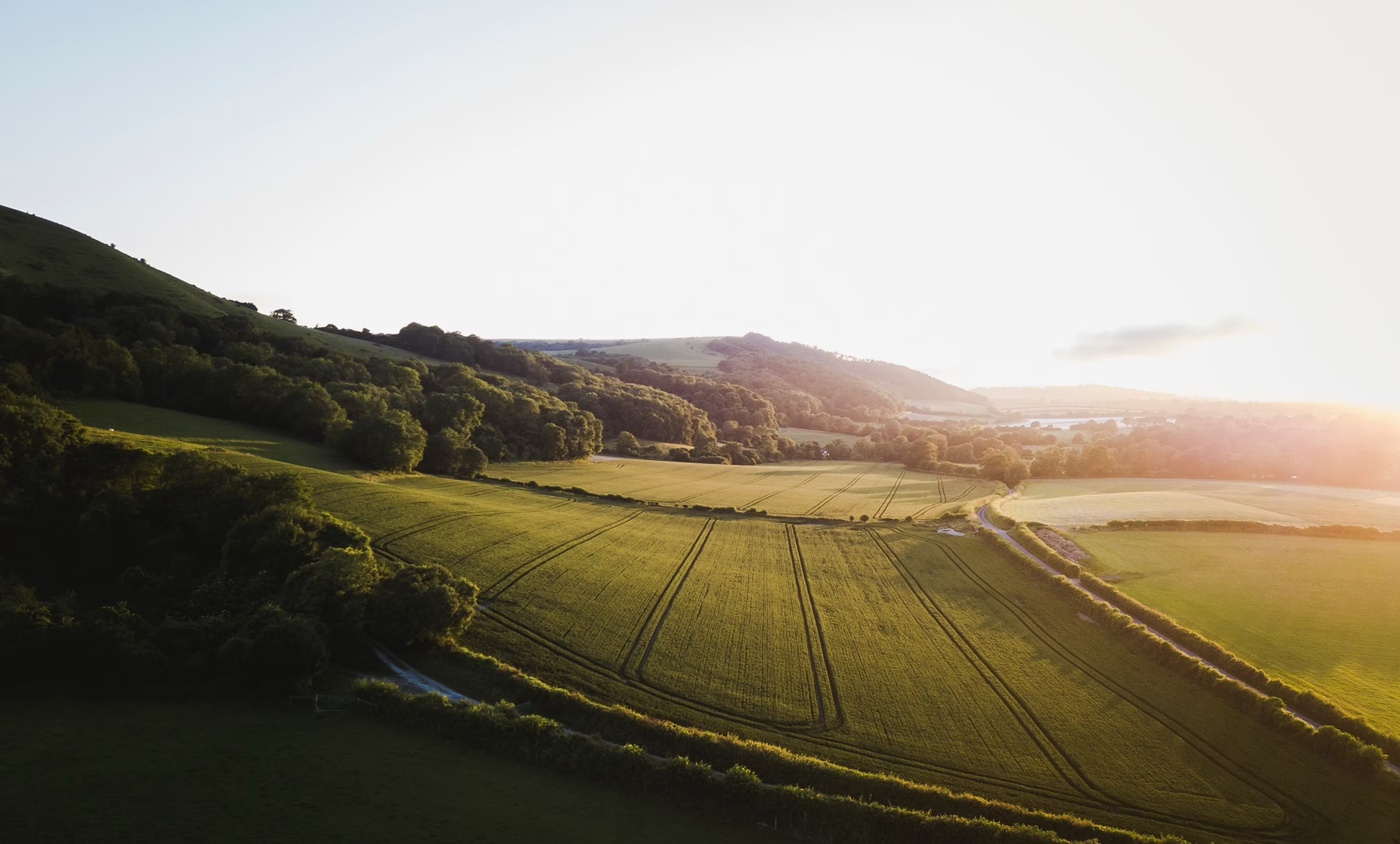 Lush agricultural farmland