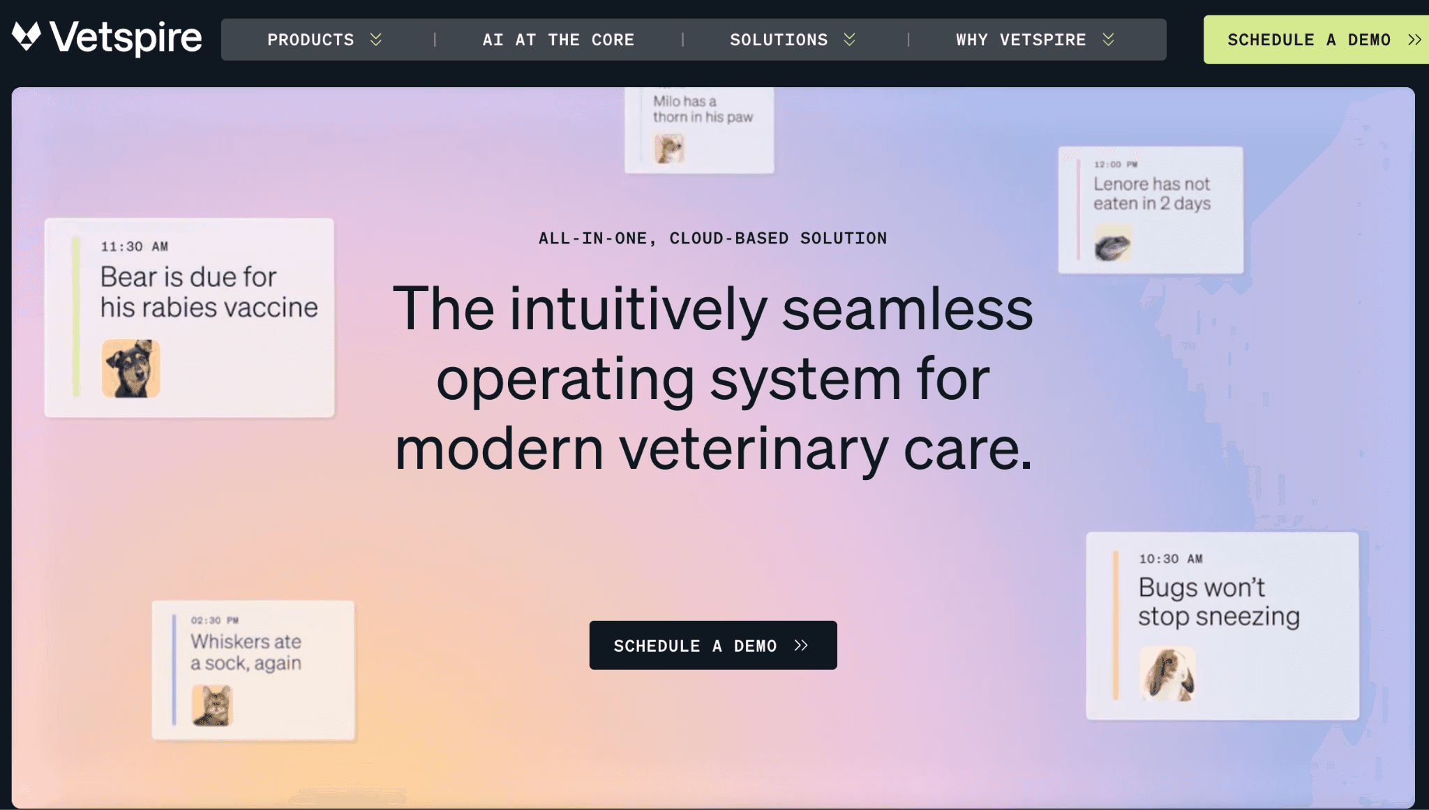 Vetspire's homepage hero section